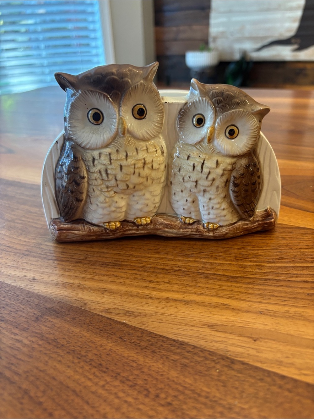 Otagiri Japan Vintage Pair of Owls Napkin Paper Holder Decor